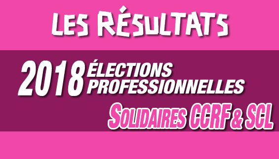 Élections professionnelles 2018 – Les résultats