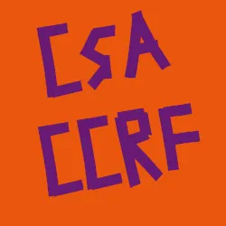 CSAR DGCCRF du 16 décembre 2025 – Déclaration liminaire et compte-rendu