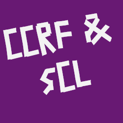 CSAR DGCCRF du 16 décembre 2025 – Déclaration liminaire et compte-rendu